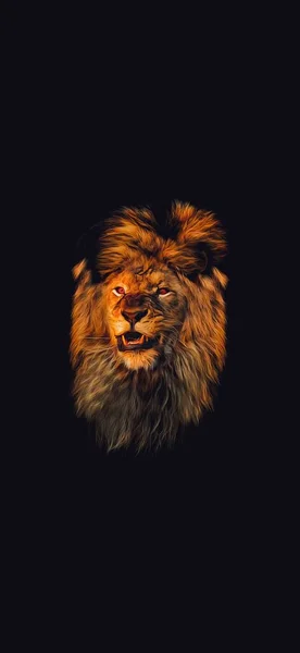 Afrikaanse Mannelijke Leeuw Hoofd Portret Illustratie Wild Dier Geïsoleerde Zwarte — Stockfoto
