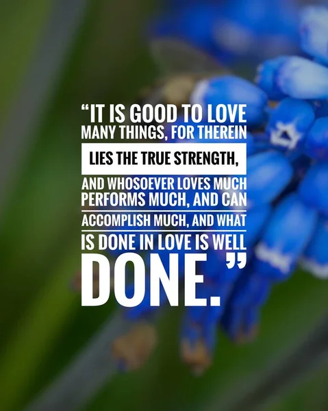 Citação Amor Melhores Citações Motivacionais Ditos Sobre Vida Sabedoria Positivo — Fotografia de Stock