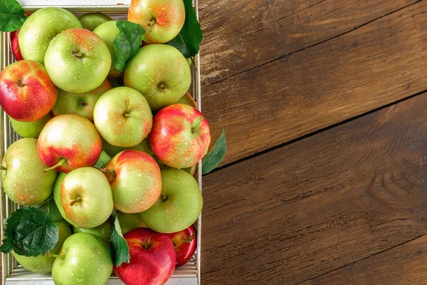 收集新鲜的各种红 绿苹果 放在木制背景图上的木箱内 并留有复制空间 — 图库照片
