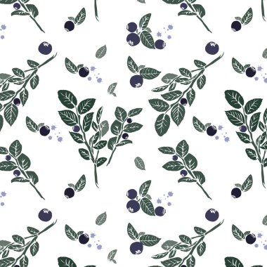 Yaban mersini yaprakları ve meyvesiz böğürtlenler. Şeffaf arkaplanda yaban mersini deseni. Böğürtlen çiçekli pastel rengin kusursuz deseni