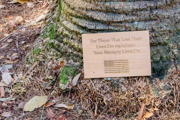 小小的木制纪念牌匾靠在一棵棕榈树的底部 上面刻着 为那些在2001年11月9日失去生命的人 你的记忆永存 并描绘了一面美国国旗 — 图库照片