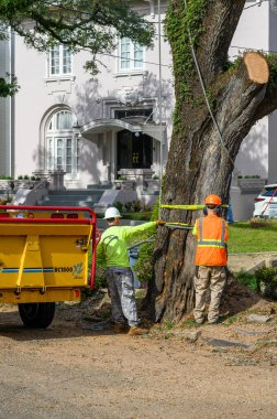 NEW ORLEANS, LA, ABD - 5 Aralık 2023: İşçiler, Vermeer BC 1800 XL yonga makinesi ve St. Charles Bulvarı 'nda büyük bir evin yanında ağaç dallarının çıkarılmasına yardım ediyorlar