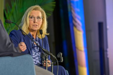 NEW ORLEANS, LA, ABD - 15 Mart 2024: Eski ABD Kongre Üyesi Liz Cheney Tulane Üniversitesi 'nde New Orleans Kitap Festivali' nde