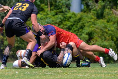 New Orleans, LA, USA - September 14, 2024: Rugby players make a tackle and the ball comes loose at a free and open rugby match in City Park (a free and open amateur event in a public space)   clipart