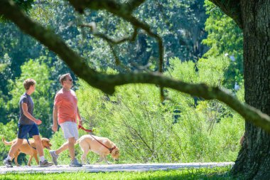 NEW ORLEANS, LA, ABD - 8 Eylül 2024: Audubon Park 'ta köpeklerini gezdiren bir baba ve oğulun seçici odak noktası