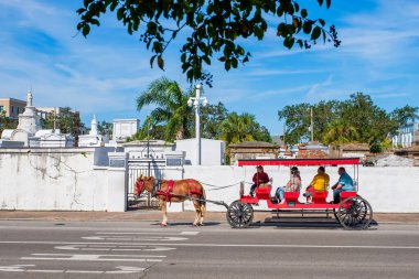 NEW ORLEANS, LA, ABD - 16 Ekim 2021: Katır dolu vagon Basin Caddesi 'ndeki St. Louis Mezarlığı' nın önünde