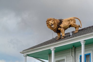 YENİ ORLEANS, LA, ABD - 29 Temmuz 2024: Fiberglas erkek aslan figürü bir evin çatısına zincirlenmiş