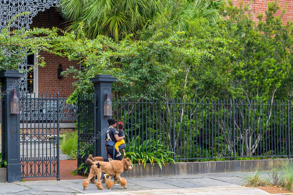 NEW ORLEANS, LA, USA - SEPTEMBER 15, 2024: Woman wearing a football jersey walking with her child on her hip and her two French Poodles, displaying painted fleur-de-lis, on a leash