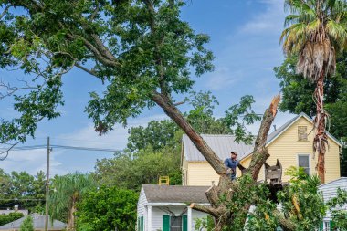 NEW ORLEANS, LA, ABD - 29 Temmuz 2020: Uptown Mahallesi 'nde testereyle ceviz ağacı kesen işçiler