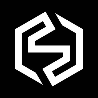 harf s monogram logo tasarımı