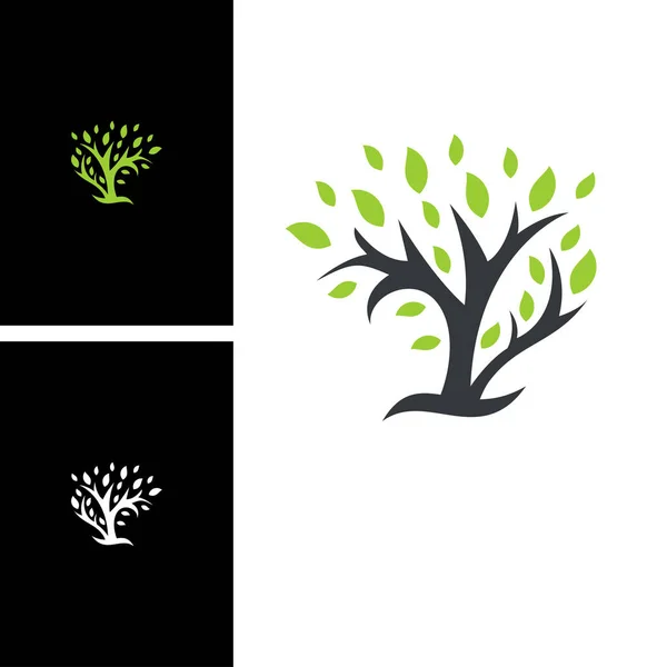 Árvore Logotipo Design Ilustração Vetor — Vetor de Stock