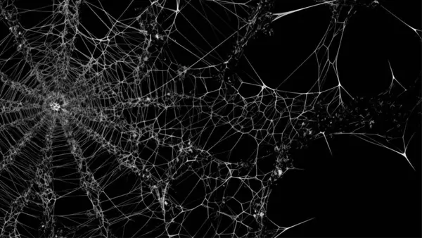 Ürkütücü örümcek ağı siyah arkaplanı özetliyor
