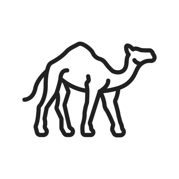 Camel Icono Imagen Vectorial Adecuado Para Aplicaciones Móviles Aplicación Web — Vector de stock