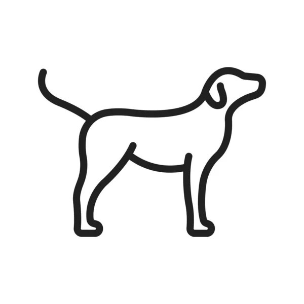 Hundesymbolvektorbild Geeignet Für Mobile Applikationen Und Printmedien — Stockvektor
