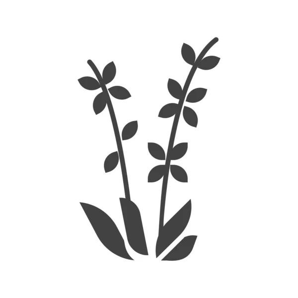 Symbolbild Lavendel Für Den Mobilen Einsatz Geeignet — Stockvektor
