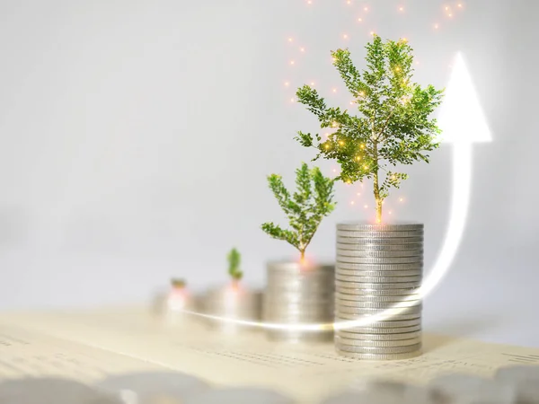 Growing money, plant or tree grows on stack of coins with bright arrow point up. Finance, account, saving, and investment concept