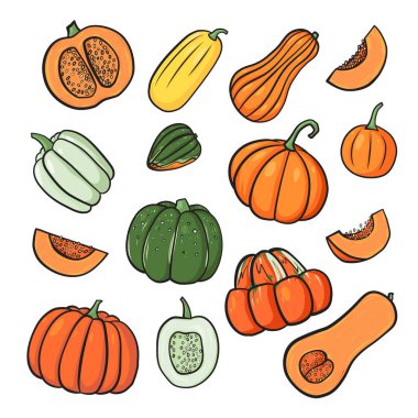 Kabak ve kabak çeşitlerinin el çizimi çizimi çizimi