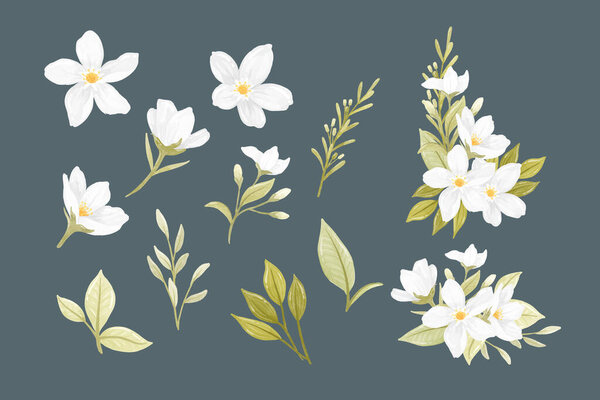 Elegant watercolor jasmine flowers on a dark background