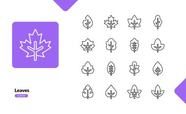 Yaprak doğası eko taze botanik ayrıntılı çizgi simgesi seti bırakır