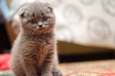 Buzdan yapılmış mektup, beyaz üzerine izole edilmiş..