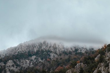 Arkasında bir dağ olan güzel bir manzara.
