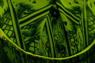 Güzel botanik fotoğrafı, doğal duvar kağıdı.