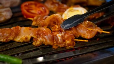 Closeup of shish meat with vegetables 