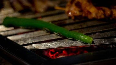 Closeup of shish meat with vegetables 