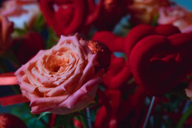 red roses with red hearts, a bouquet of roses with hearts for Valentine's Day, a bouquet of roses for March 8