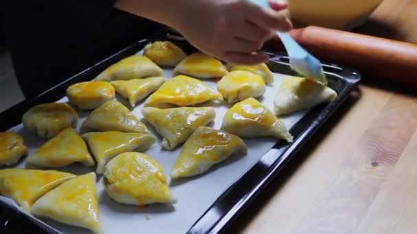 Smearing Samsa Yolk Brush Homemade Cakes Uzbek Samsa Envelopes Stuffed — Video