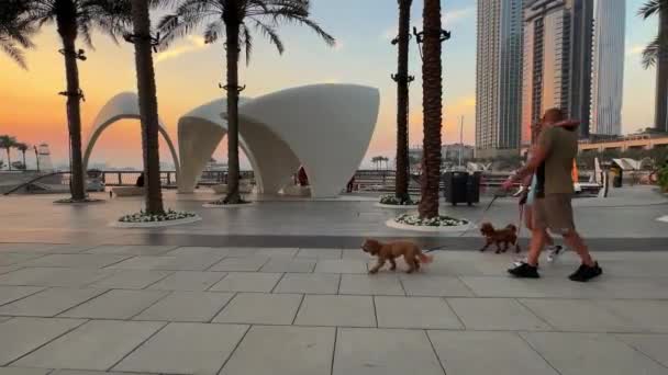 Tel Aviv Israel Luty 2020 Widok Nowoczesny Budynek Ulicach Limassol — Wideo stockowe