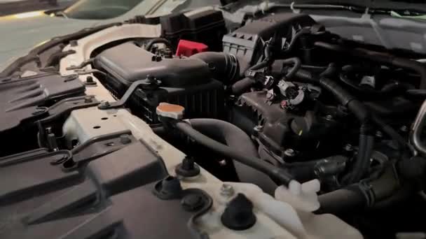 Een Man Controleert Een Automotor Onder Motorkap — Stockvideo