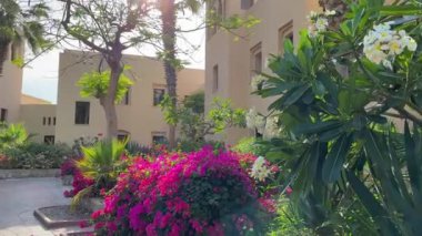 Ras al Khaimah deniz manzarası