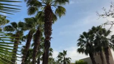Ras al Khaimah deniz manzarası