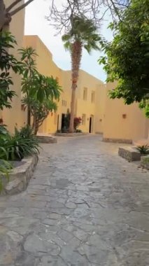 Gündüz vakti mavi gökyüzü olan palmiye ağaçları olan bir villa.