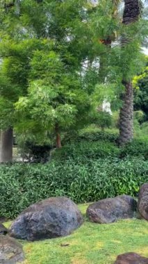 Parkın güzel manzarası