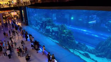 Dubai, BAE: 22062023 - İnsanlar Dubai alışveriş merkezindeki akvaryuma bakıyor. Yüksek kalite 4k görüntü
