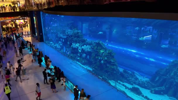 Dubai Verenigde Arabische Emiraten 22062023 Mensen Kijken Naar Het Aquarium — Stockvideo