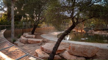 Dubai timsah parkı. Yüksek kalite fotoğraf