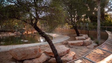 Dubai timsah parkı. Yüksek kalite fotoğraf