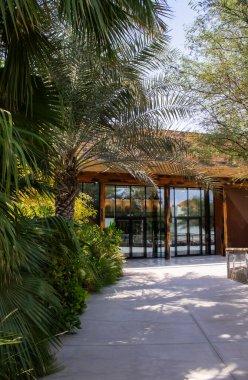 Dubai timsah parkı. Yüksek kalite fotoğraf