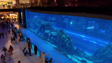 Balıklar ve resiflerle dolu sualtı sahnesi. Yüksek kalite 4k görüntü