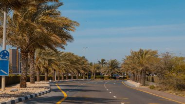 Ras al Khaimah, Marjan adası. Yüksek kalite fotoğraf