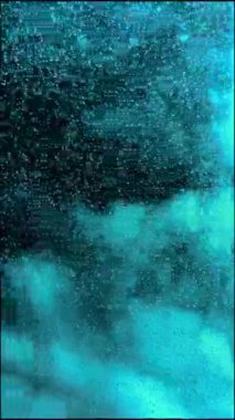 Akvaryumdaki oksijen.