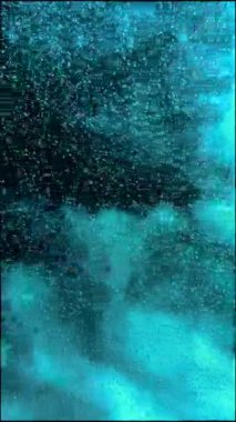 Akvaryumdaki oksijen.