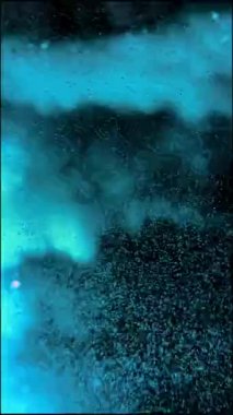 İçinde belgili tanımlık akvaryum su