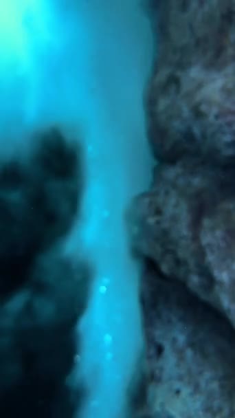Zuurstof Het Aquarium — Stockvideo