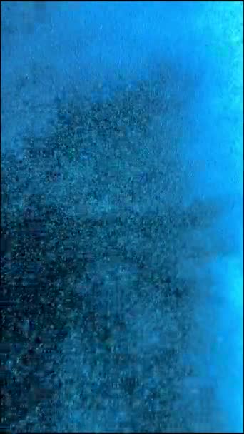 水族馆里的氧气 — 图库视频影像