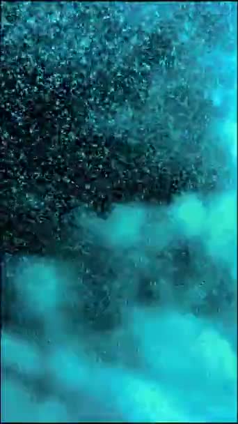 Water Aquarium — Stock Video