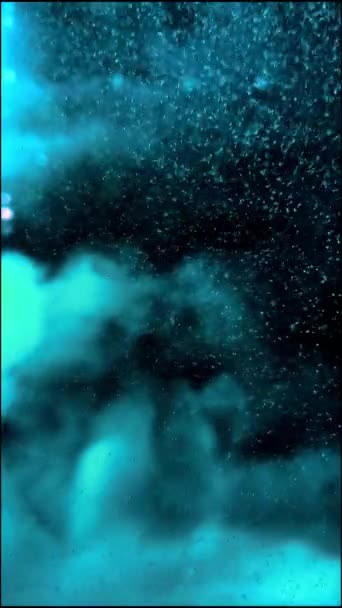 Water Het Aquarium — Stockvideo